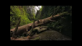 "Evening Song" Native American Flute