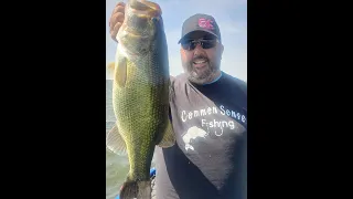 Big Bass from the California Delta Russo's Marina / Franks Tract