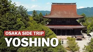 Osaka Side Trip to Yoshino in Nara | japan-guide.com