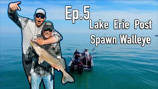 Episode 5 Season 18 Trolling for Post-Spawn Lake Erie Walleye