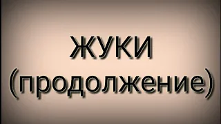 Жуки 2 сезон 1 серия