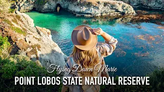 VLOG 202: Point Lobos State Natural Reserve (Carmel, CA)