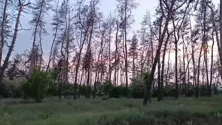 ХАРЬКОВ ♥️ДОБРО ПОЖАЛОВАТЬ В СТРАНУ СНОВ 🌌31.05.2024