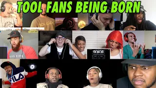 Tool "The Pot" - Best of Reactions Compilation