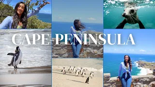 🏝️ Cape Peninsula Tour South Africa ☀️ Cape of Good Hope, Boulders Beach PENGUINES 🐧 , Haut Bay 🦭