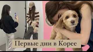 Первые дни в Корее // модельная поездка #3