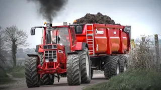 IH 1455XL + CHEVANCE - Transport de fumier/manure