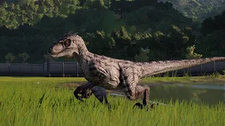 Indominus Rex and Velociraptor Territorial Interactions - Jurassic World Evolution 2