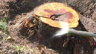 Как быстро убрать пень дерева на участке без корчевания и селитры How to remove tree stump