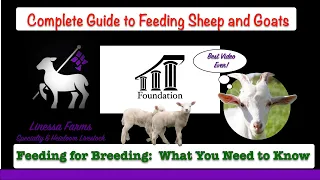 Complete Guide to Successfully Feeding Sheep and Goats Year Round:  The 4 Feeding Cycles