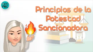 Ley 40/2015 📖 Principios de la POTESTAD SANCIONADORA por ESMERALDA MUÑOZ