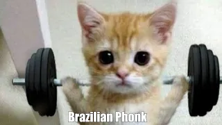 Brazilian Phonk from TikTok / Бразильский фонк для тренировок