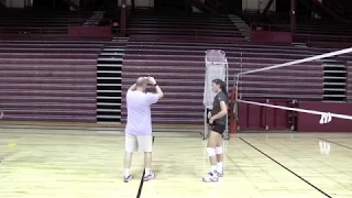 Lauren Carlini Volleyball Setting Session