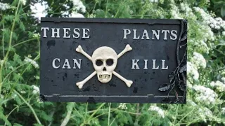 Alnwick Castle, The Poison Garden, Common Poisonous Plants of America.