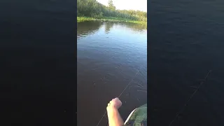 ОНИ СНОВА ТОПЯТ КРУЖКИ...)) #рыбалка2023 #щука #fishing #кружки