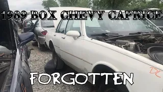 Junk Yard Find 1989 Box Chevy Caprice Classic #boxchevyworld