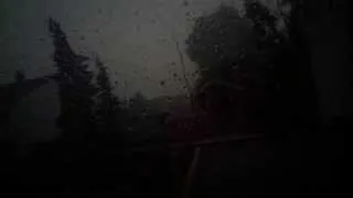 Unwetter NRW Willich / Neersen 9.6.2014 Weidenweg Baum entwurzelt