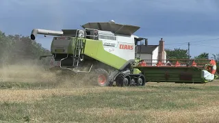 HARVESTING WHEAT WITH TWO CLAAS LEXION 600 TERRA TRAC COMBINES