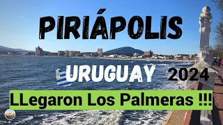 PIRIAPOLIS !!! 🇺🇾 URUGUAY.  LLegaron los Palmeras 🇦🇷 a Piriapolis 🇺🇾!!!  Atlantida - Punta Negra !!!