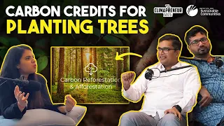 Planting trees for profit: what are carbon credits and how does it work?