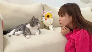 しょこたんに誕生日をお祝いしてもらった猫が大喜びでこうなりました笑