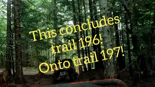 Evan's Creek ORV trails 196 and 197 mountain trails tall timber  turbo s and general sxs fun