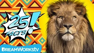 25 Fierce Facts About LIONS | 25 FACTS