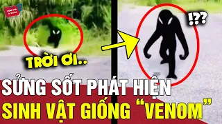 Đang đi đường, thanh niên bị 'SINH VẬT LẠ' giống VENOM ra tận nơi tác động vật lý | Động Tiin