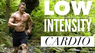 The Effect of Low Intensity Steady State Cardio