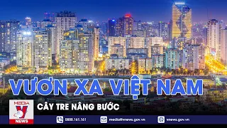 Thế giới 360: Vươn xa Việt Nam - Cây tre nâng bước - VNews