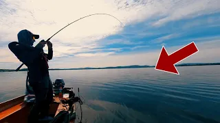 INSANE Big Fish Fish Strikes caught live on camera!