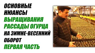 Основные нюансы выращивания рассады огурца на зимне-весенний оборот. Первая часть.