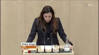 Petra Steger - Besteuerung von Online-Giganten - 22.1.2019