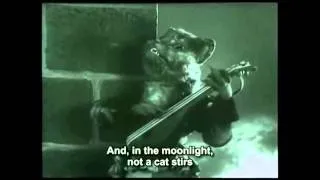 Singing Cat, from Starevich's Le Roman de Renard Tale of the Fox) upload