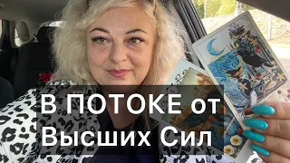 В ПОТОКЕ от ВС❤️♣️ВОТ ЭТО ЧУДЕСА К ВАМ ИДУТ🥂ПРИНИМАЙ #tarot #online #mag #таро