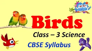 Birds ( Beaks / Nests / Claws / Food) - CBSE : Class 3 : Science|| ICSE || NCERT | SCIENCE