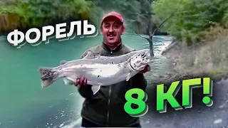 Рыбалка | Радужная форель. Вес - 7940гр