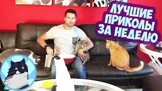 ЛУЧШИЕ ПРИКОЛЫ ЗА НЕДЕЛЮ 🔥 ПРИКОЛЫ 2018 НОЯБРЬ 😺 ЛУЧШИЕ СМЕШНЫЕ ПРИКОЛЫ ПОДБОРКА #1 БУБЛИК VIEW