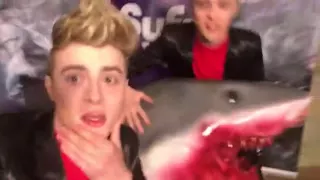 Jedward on Twitter: Yo @PerezHilton Its time for Sharknado