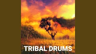 Djembe Drum (African Tribal Music)