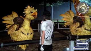 FFXV - Goodnight Chocobo Hugs x)