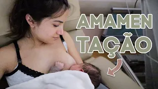 Primeiros dias de vida da bebê na maternidade 🤱🏽| Vanessa Lino