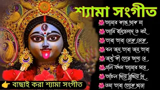 শ্যামা সঙ্গীত কালী পূজার গান|Sri Sri Bororma Alochana|Shyama Sangeet