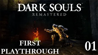 First Playthrough: Day 1 (Dark Souls: Remastered)