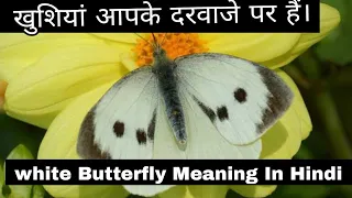 खुशियां आपके दरवाजे पर दस्तक दे चुकी हैं। White Butterfly Meaning In Hindi#whitebutterfly #spiritual