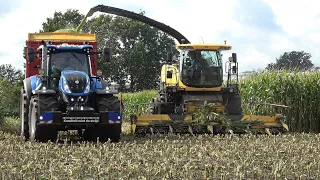 Mais hakselen door loonbedrijf Jansen Eupe met hun New Holland FR9060 + 3 trekkers (2023)