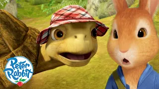 ​@OfficialPeterRabbit - The Great Tortoise Escape! 🐢🐇 | Escape Route | Cartoons for Kids