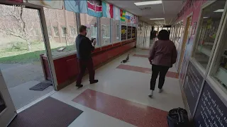 Ten ducklings follow their mom through a Minnesota elementary school, continuing 20-year tradition