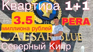 3,5 млн рублей - квартира 1+1 в Цезарь Резорт. Пляжный комплекс PERA - За Деньги - Доза и Баба. Кипр