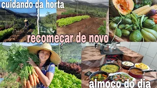 HORTA ORGÂNICA/CUIDANDO DA TERRA PARA PLANTAR NOVAMENTE/ COLHEITA/ ALMOÇO DO DIA E MAIS